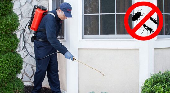 Karahallı Kene İlaçlama böcek ilaçlama ve haşere kontrolü — ilaclama-tr.com